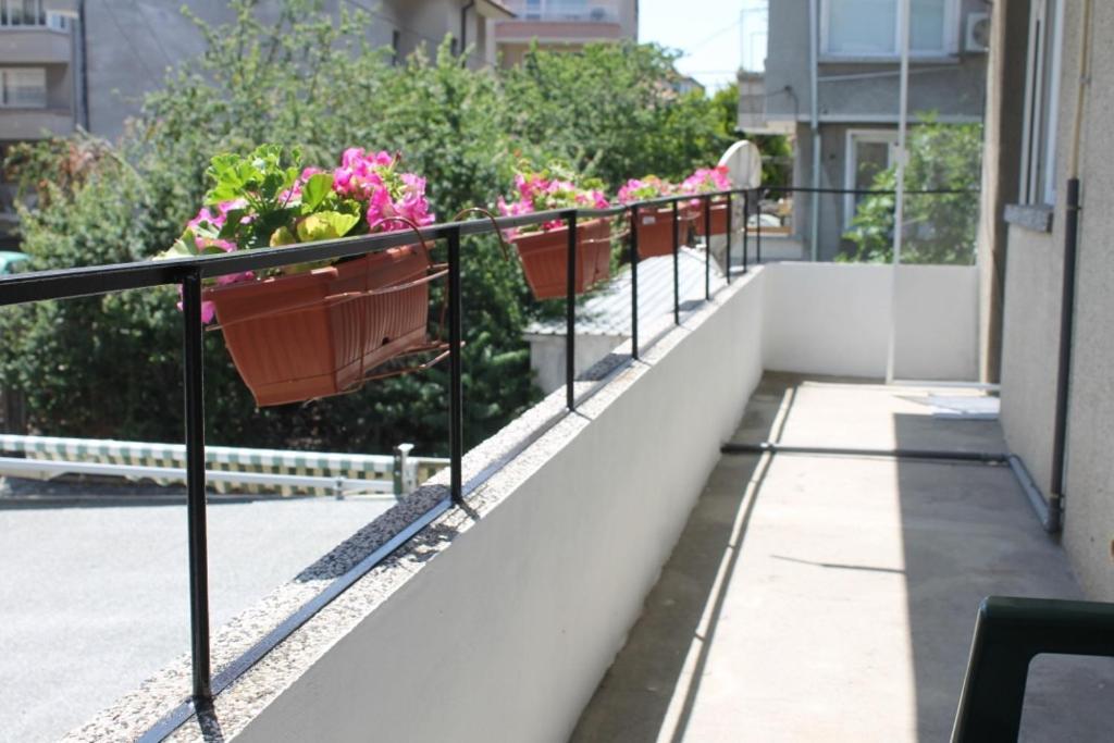 Sunny Day Apartment Ahyolu Dış mekan fotoğraf
